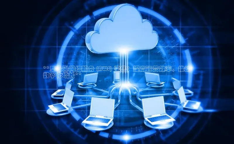 加拿大28开奖结果预测官网阿里尔公司**亚马逊网络服务 (AWS) 零售：提高运营效率，推动
数字化增长**