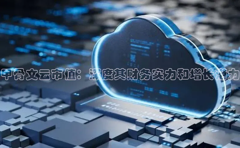 28圈平台官网版下载字节跳动甲骨文云市值：深度其财务实力和增长潜力