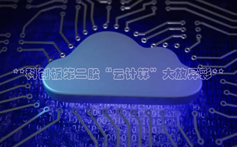 加拿大28圈.ccm挪威主权基金**科创板第二股“云计算”大放异彩**