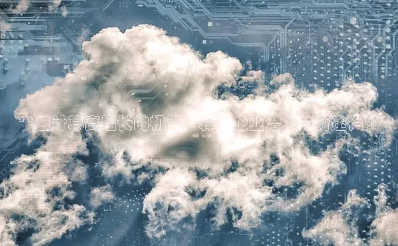 加拿大28开奖结果预测官网阿里尔公司**云计算高增长的机遇：释放企业潜力的新途径**