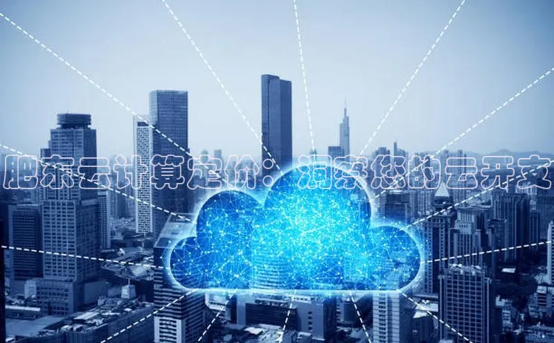 加拿大2.8平台下载百度大脑肥东云计算定价：洞察您的云开支