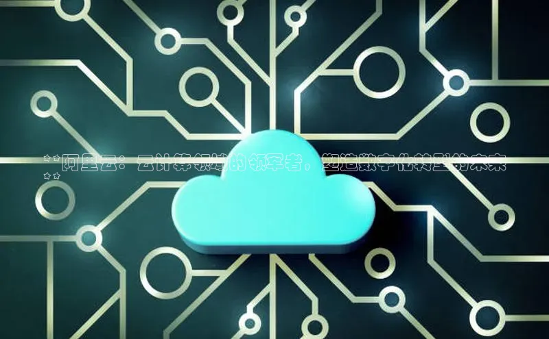 28圈平台官网版下载百度数据开放平台**阿里云：云计算领域的领军者，塑造数字化转型的未来
**