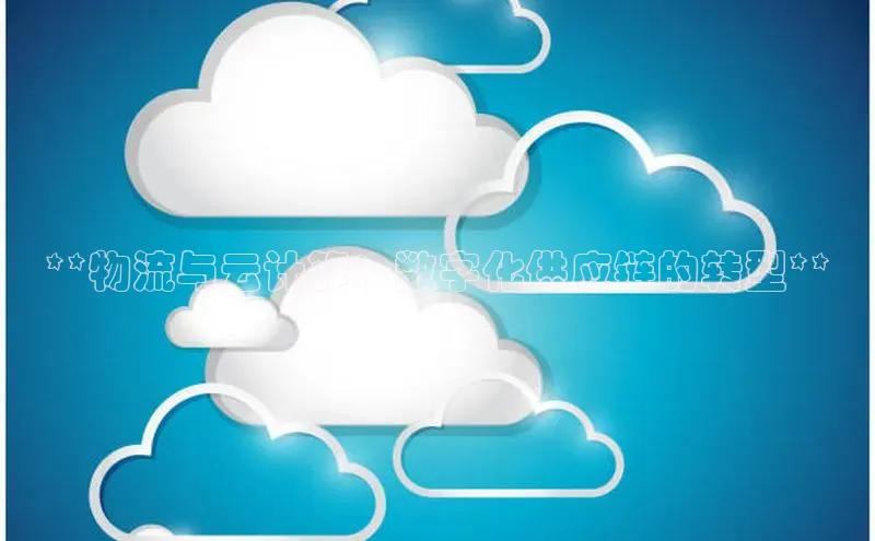 28圈.ccmpc29官网版下载百度手机输入法**物流与云计算：数字化供应链的转型**