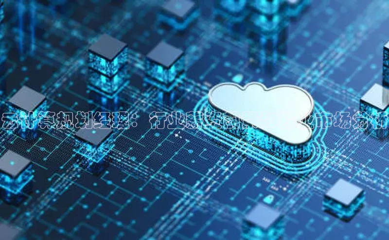 28圈.ccmpc29官网版下载云创智行云计算规划经理：行业薪资前景和就业市场分析