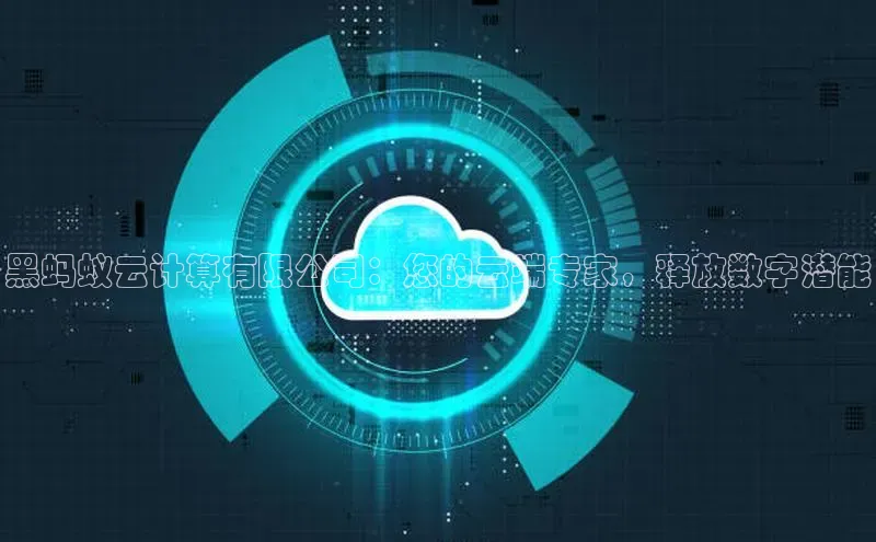 加拿大28圈.ccm百度识图黑蚂蚁云计算有限公司：您的云端专家，释放数字潜能