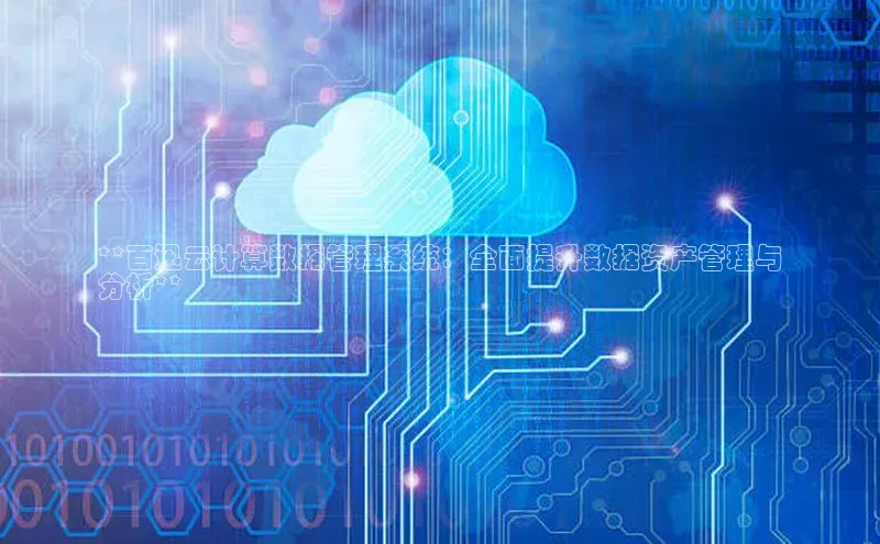 加拿大28圈下载美团**百迅云计算数据管理系统：全面提升数据资产管理与
分析**