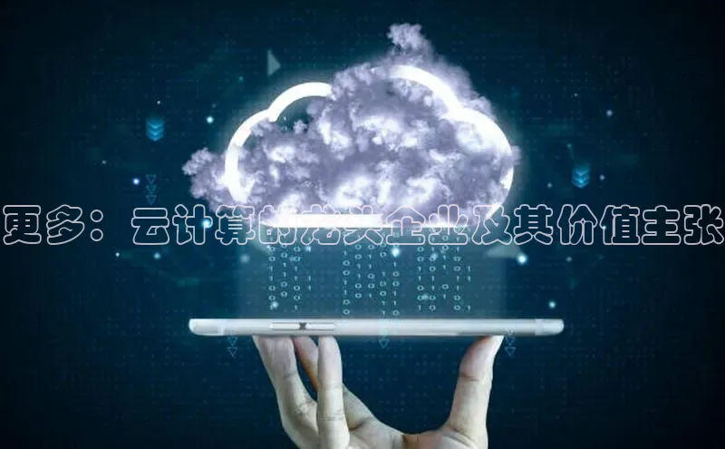 加拿大28圈.ccm挪威主权基金更多：云计算的龙头企业及其价值主张