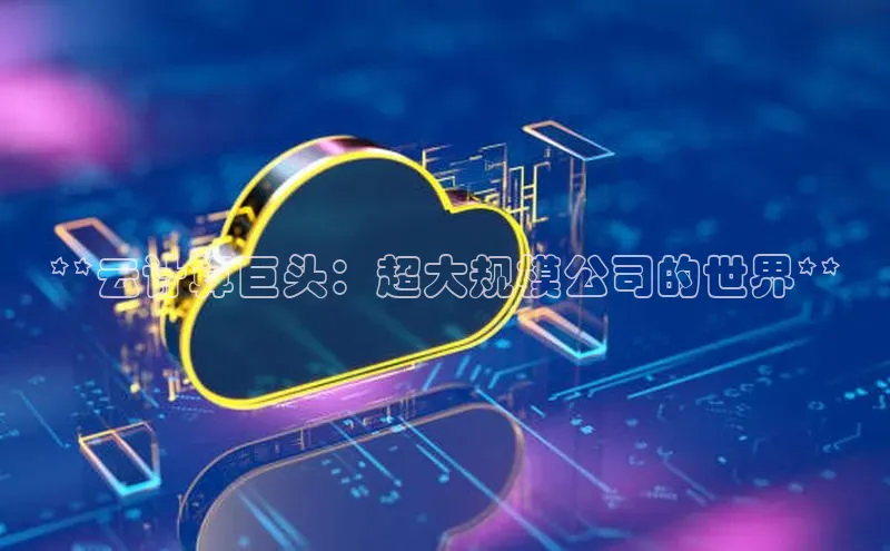 加拿大28圈app官网开奖结果百度网盘**云计算巨头：超大规模公司的世界**