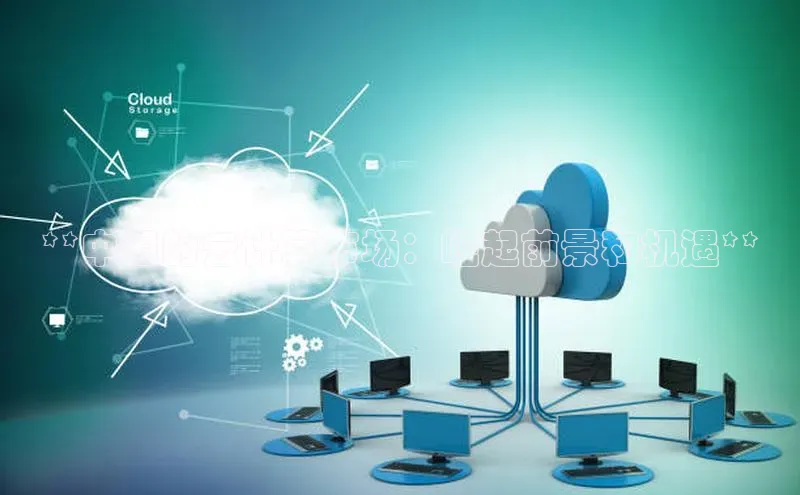 28圈注册网站百度 H5**中国的云计算市场：崛起前景和机遇**