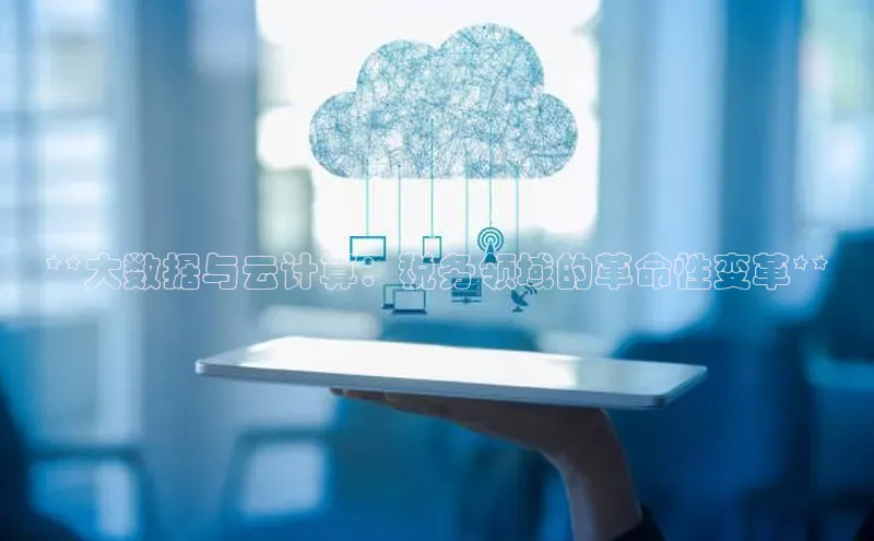 28圈电子游戏百度手机卫士**大数据与云计算：税务领域的革命性变革**