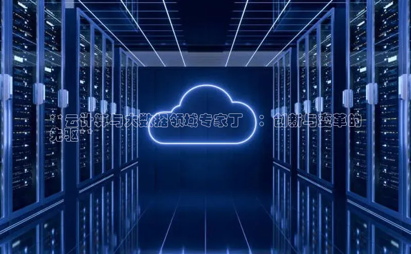 加拿大NG28娱乐软件百度社团赞助平台**云计算与大数据领域专家丁祎：创新与变革的
先驱**